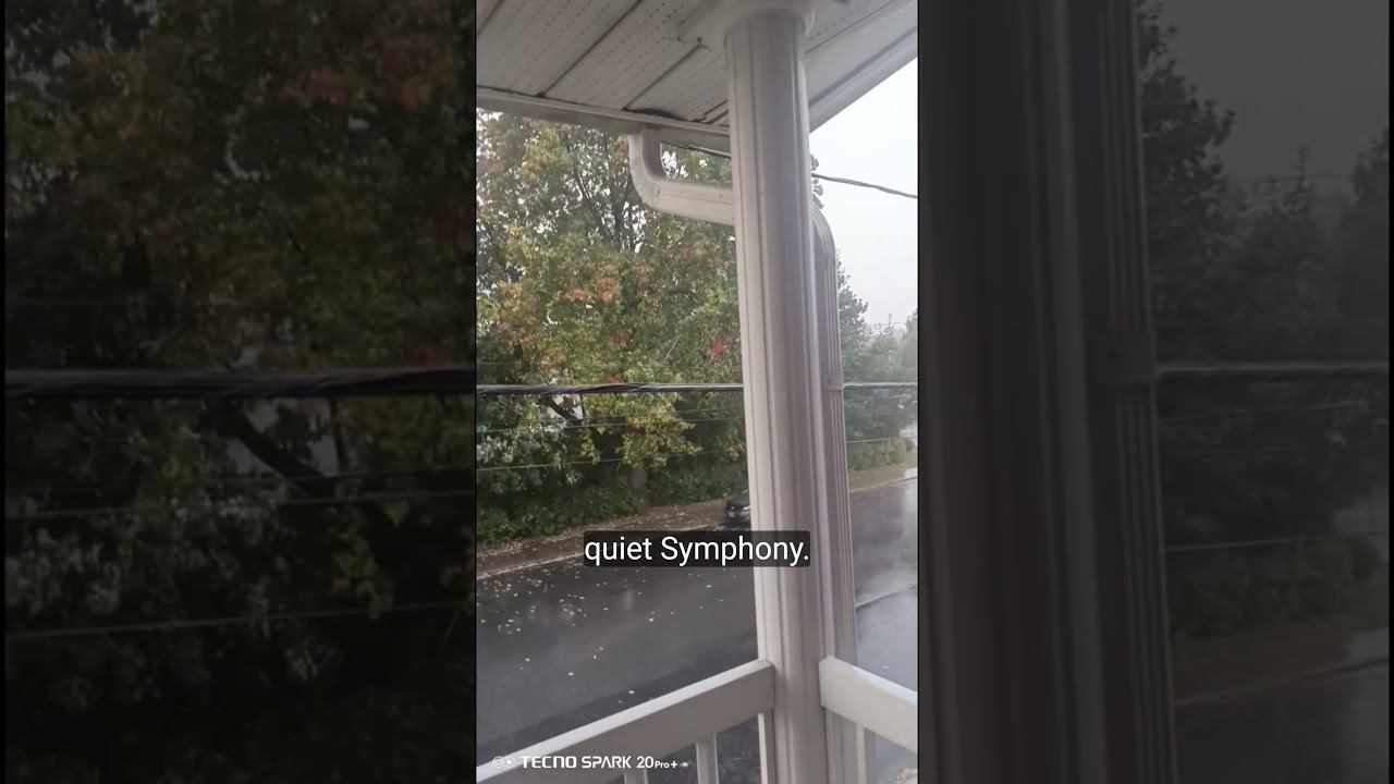 a perfect rainy day 