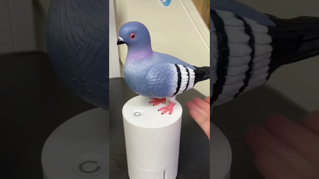 Amazon finds gadgets #kitchen #shop #shopping #hack are #home #house #decor have #viral #reels