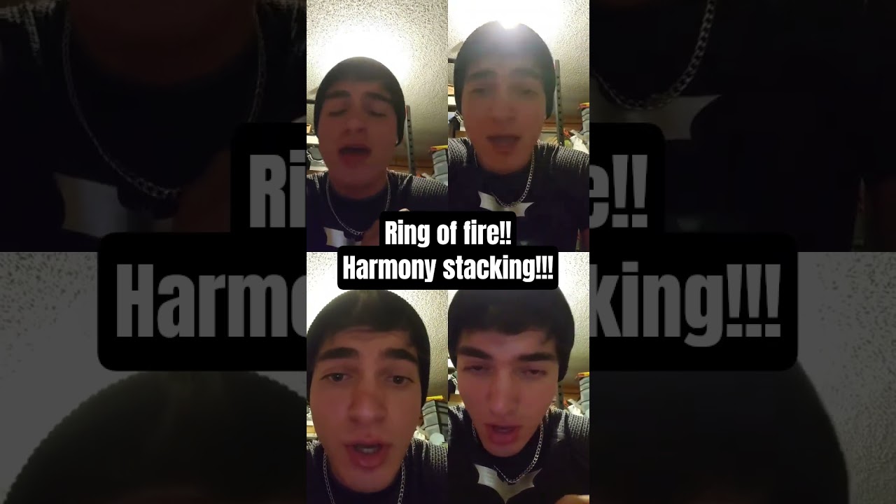 Lil stuffed up but enjoy! #acapella #harmonies #vocalstacking #singing #vocals