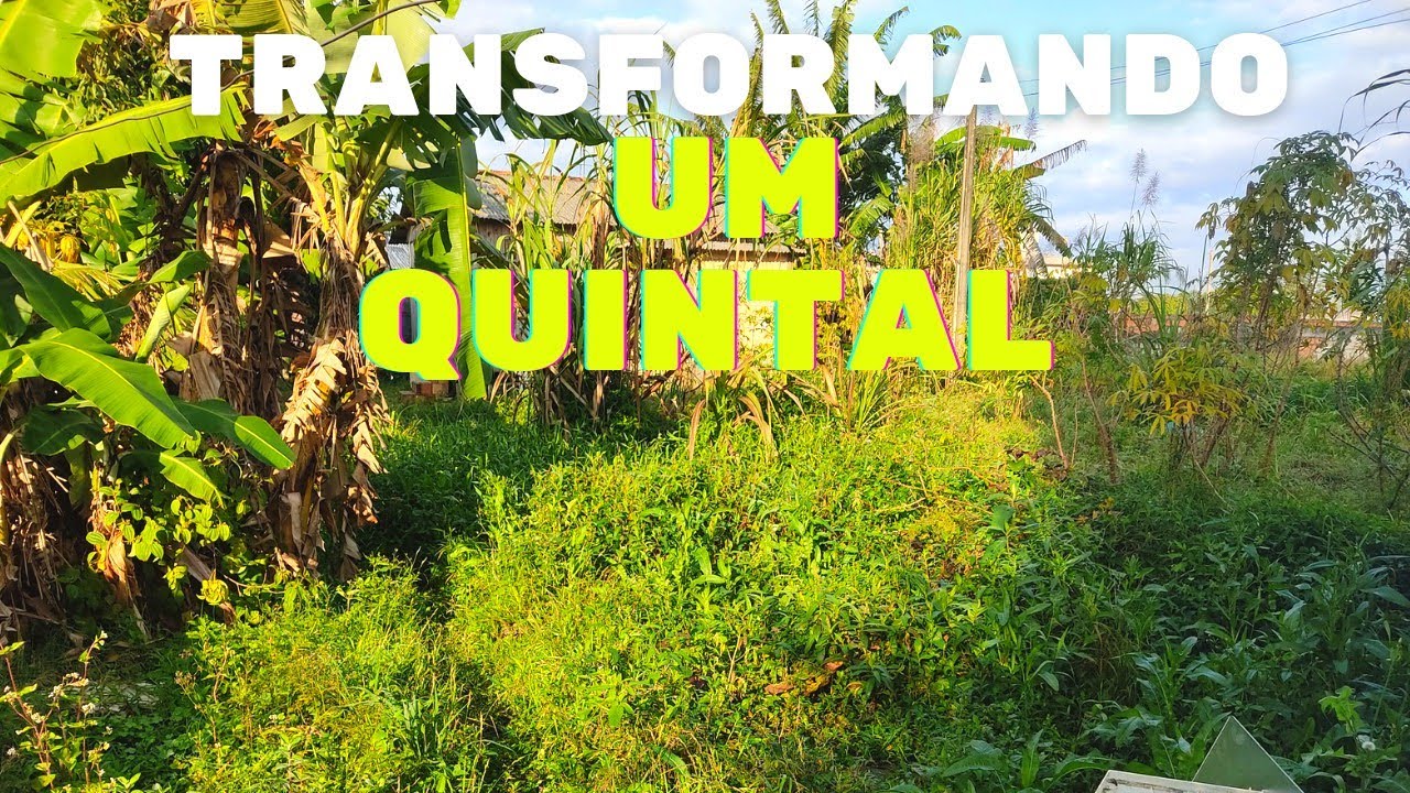 Transforma&ccedil;&atilde;o chocante do quintal abandonado - resultado satisfat&oacute;rio