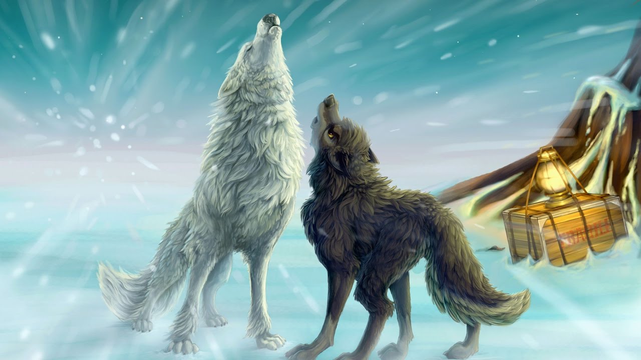 BiG WoLF A.k.a PsychoPaTh - Shoh Shum
