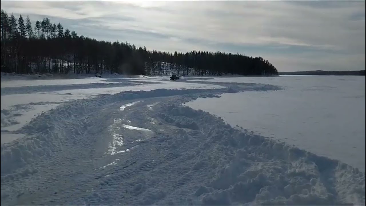 Polariksella linttaa ja meni ympäri
