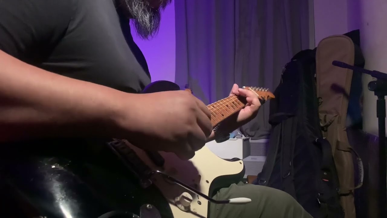 Fender Texas Specials, neck, middle and Seymour Duncan JB Jr on the bridge