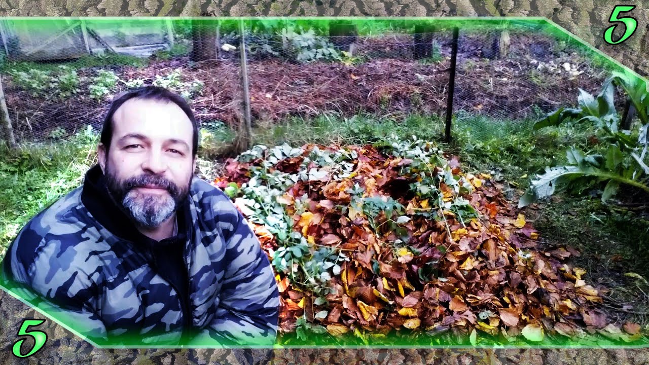 🦋 #5 TUTO rapide pour une BUTTE sur bois pour un POTAGER en PERMACULTURE