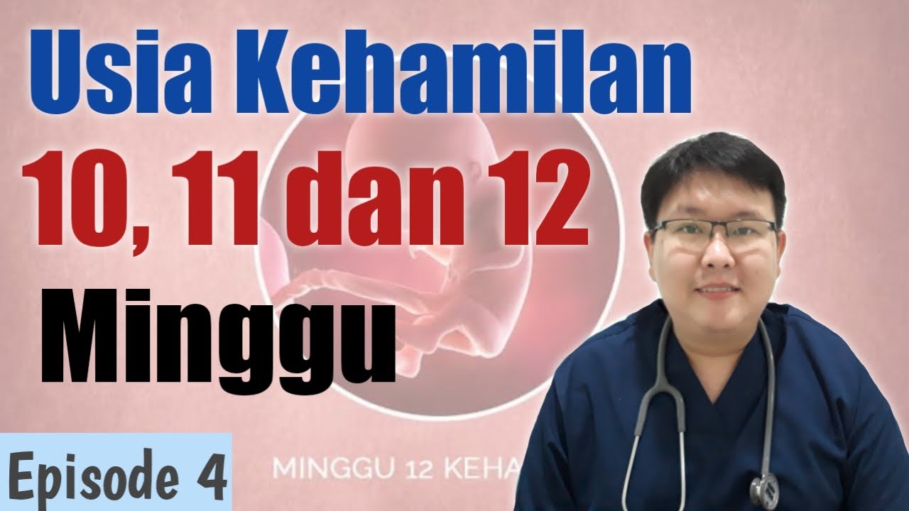 USIA KEHAMILAN 10,11,DAN 12 MINGGU (eps 4) - TANYAKAN DOKTER