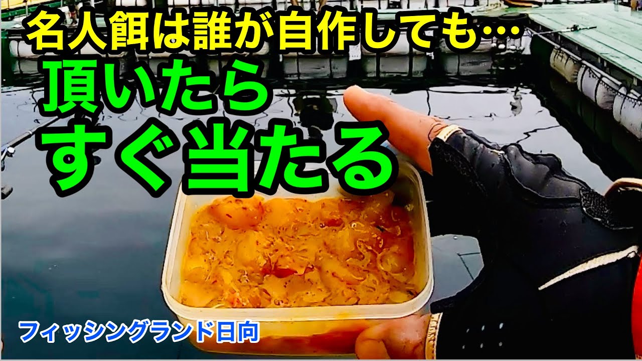 【海上釣堀】名人が使う餌はすぐ当たる「フィッシングランド日向」 @p.pochisan