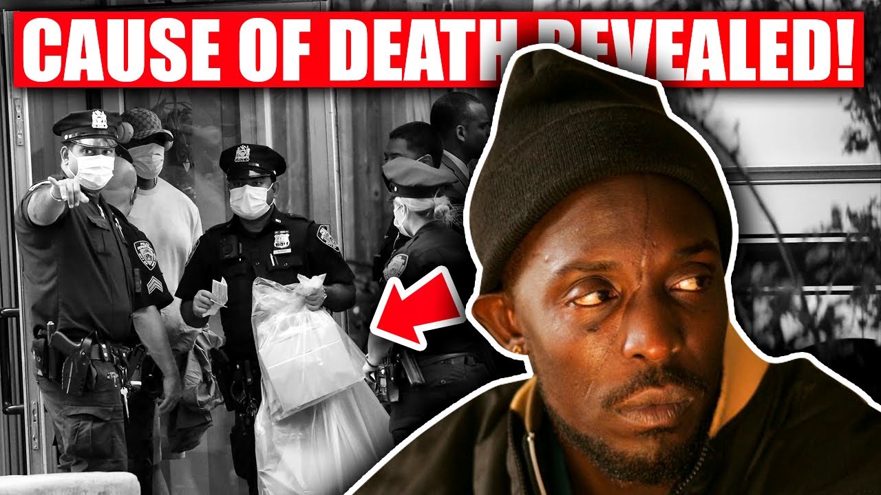 The Wire&rsquo;s Michael K. Williams&rsquo; Cause of Death Revealed!