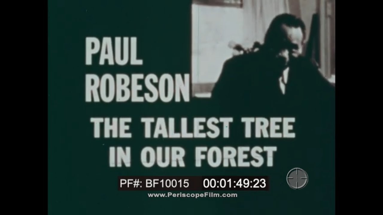 “ THE TALLEST TREE IN OUR FOREST ” 1977 PAUL ROBESON DOCUMENTARY  CIVIL RIGHTS PART 1 of 3 BF10015