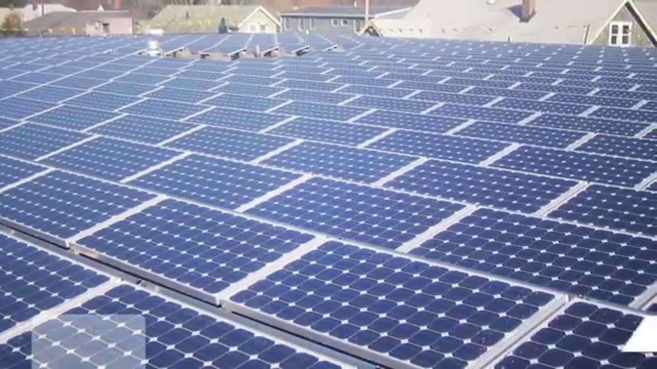 PanelClaw - Polar Bear Features Video