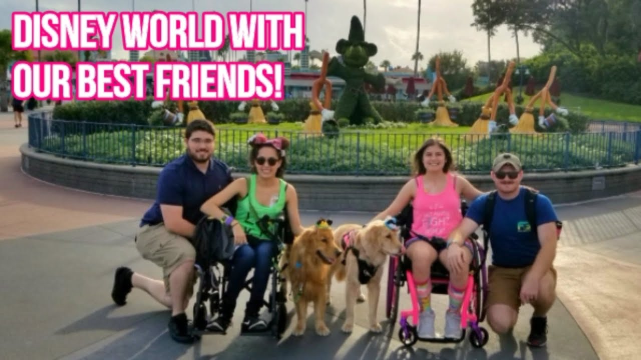 🐾 Two Service Dogs at Disney: First Time in Toy Story Land! 😎