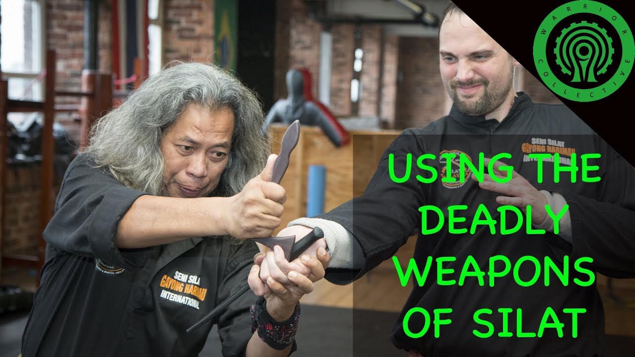 How to Use the Bladed Weapons of Silat