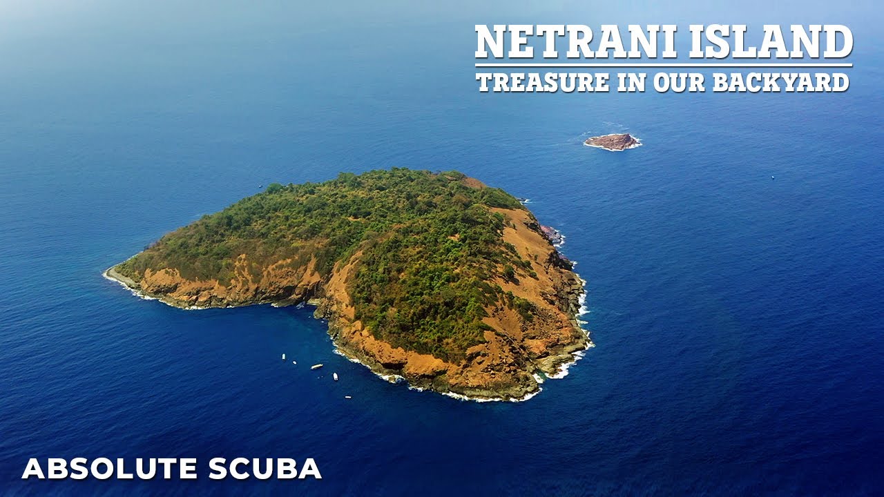 Absolute Scuba Dives Netrani January 2018