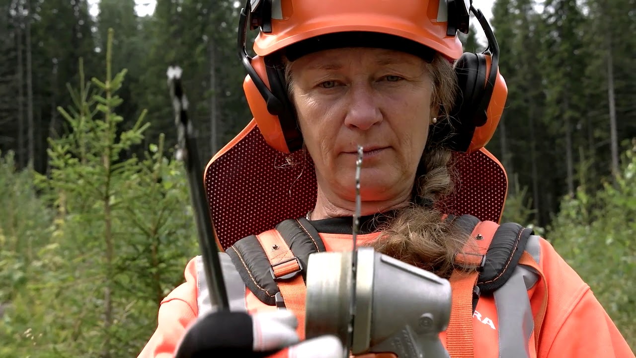 Ungskogsröjning Utförande
