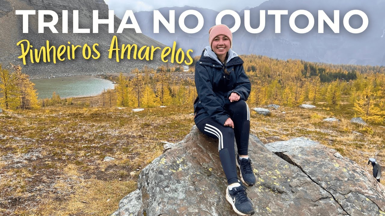 Trilha de Outono no Canadá 🍁 | Larches: Os Pinheiros Amarelos mais lindos do país
