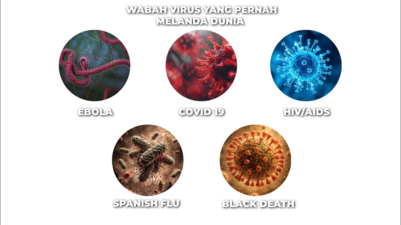 Wabah virus mematikan yang pernah melanda dunia dijelaskan hanya 3 menit!!