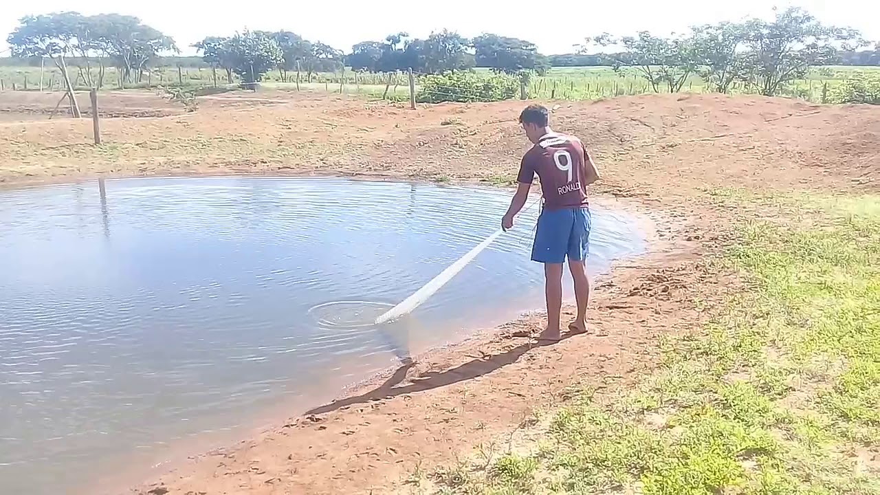 pesagem dos tambaquis com 7 meses