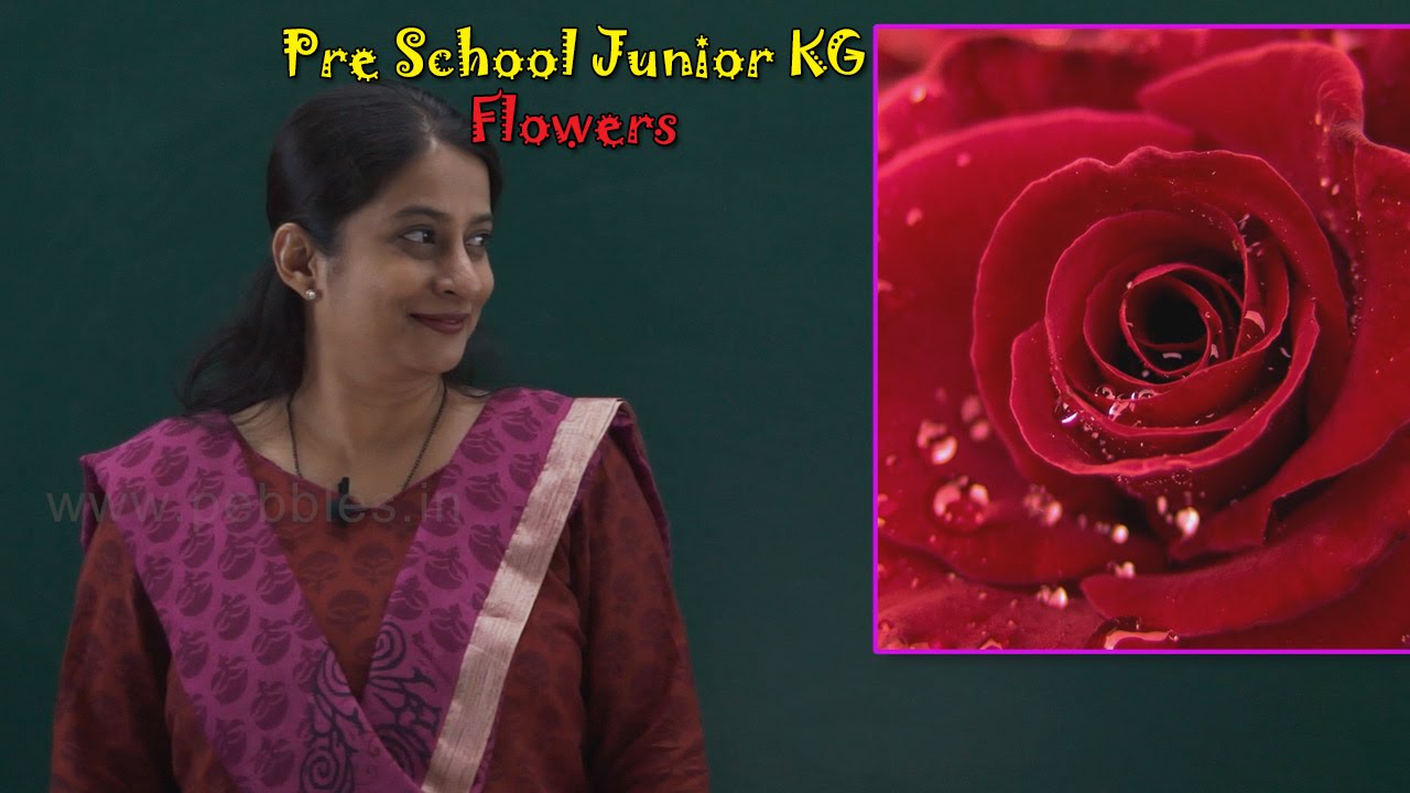 Let’s Learn About Flowers | Learn Flowers For Kids | Pre School Junior | Flowers Song