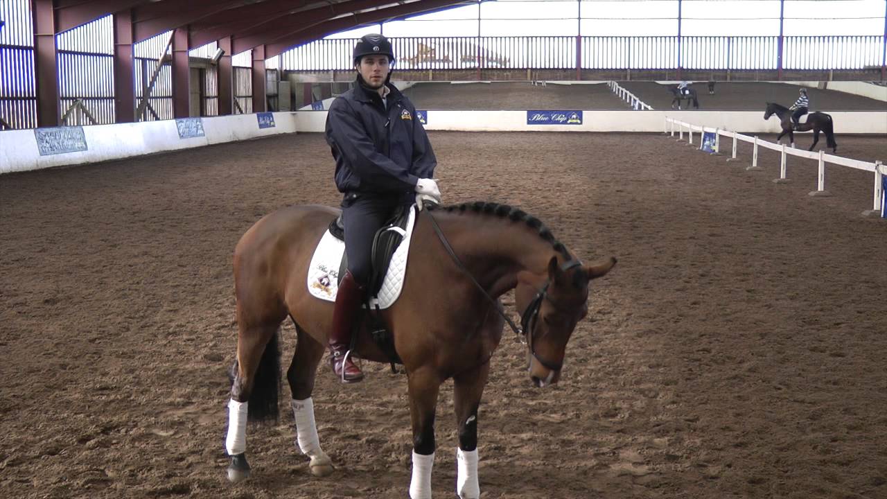 Charlie Hutton dressage masterclass- Leg Yield