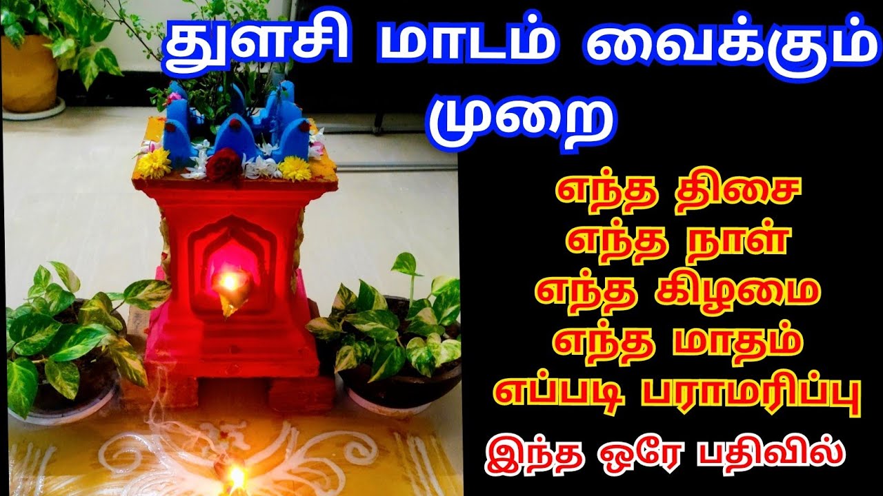 துளசி மாடம் வைக்கும் முறை, திசை, நாள், கிழமை, இடம் இவை அனைத்தும் இந்த ஒரே பதிவில் | Thulasi madam..
