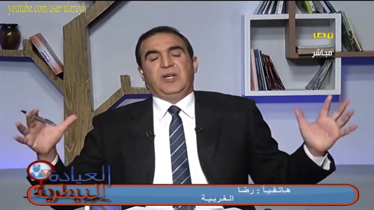 كيفية الوقاية من اسهال العجولِ الرضيعة