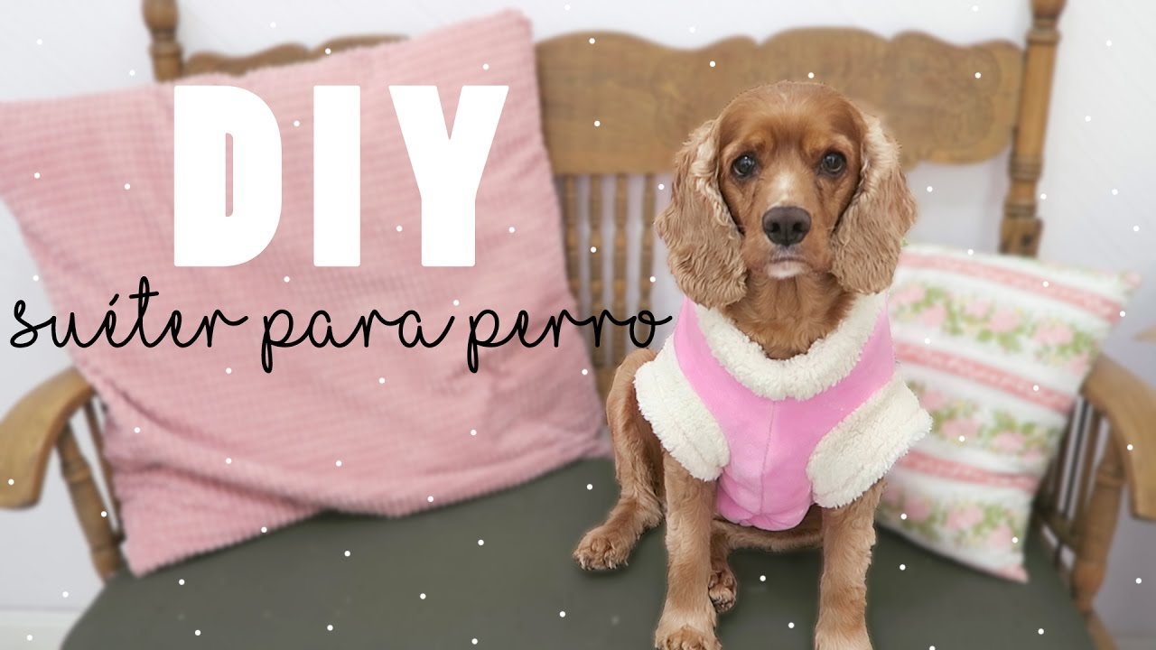 SUÉTER PARA PERRO - TUTORIAL