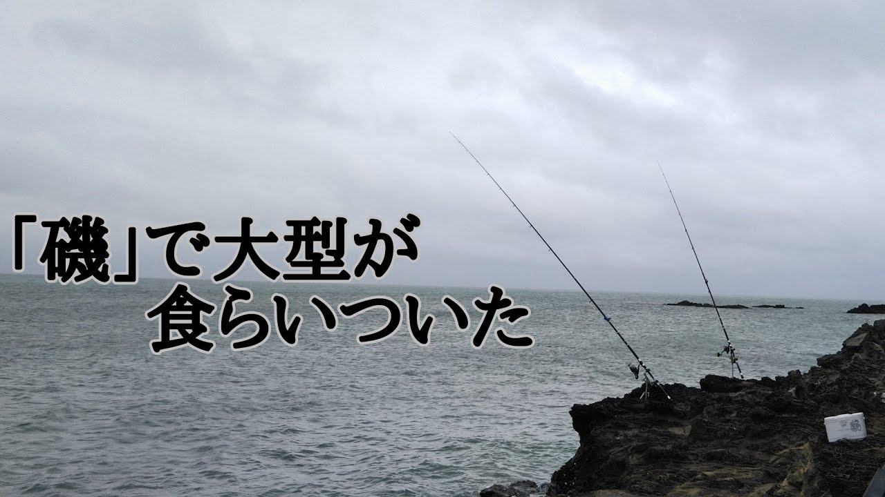 ｢磯釣り｣で大型！！夕まず目連発してぶち曲がる！？ぶっこみ釣り　沖縄釣り　離島釣り
