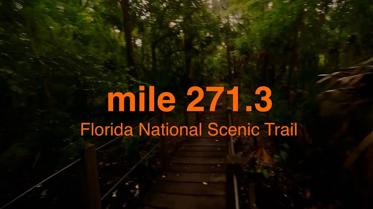 Florida National Scenic Trail: mi 271.3 - 296.1