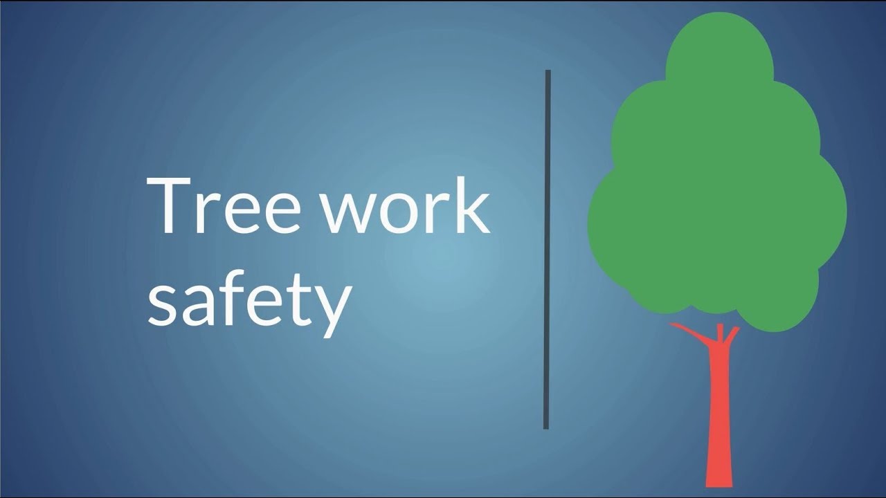 Tree Work Safety