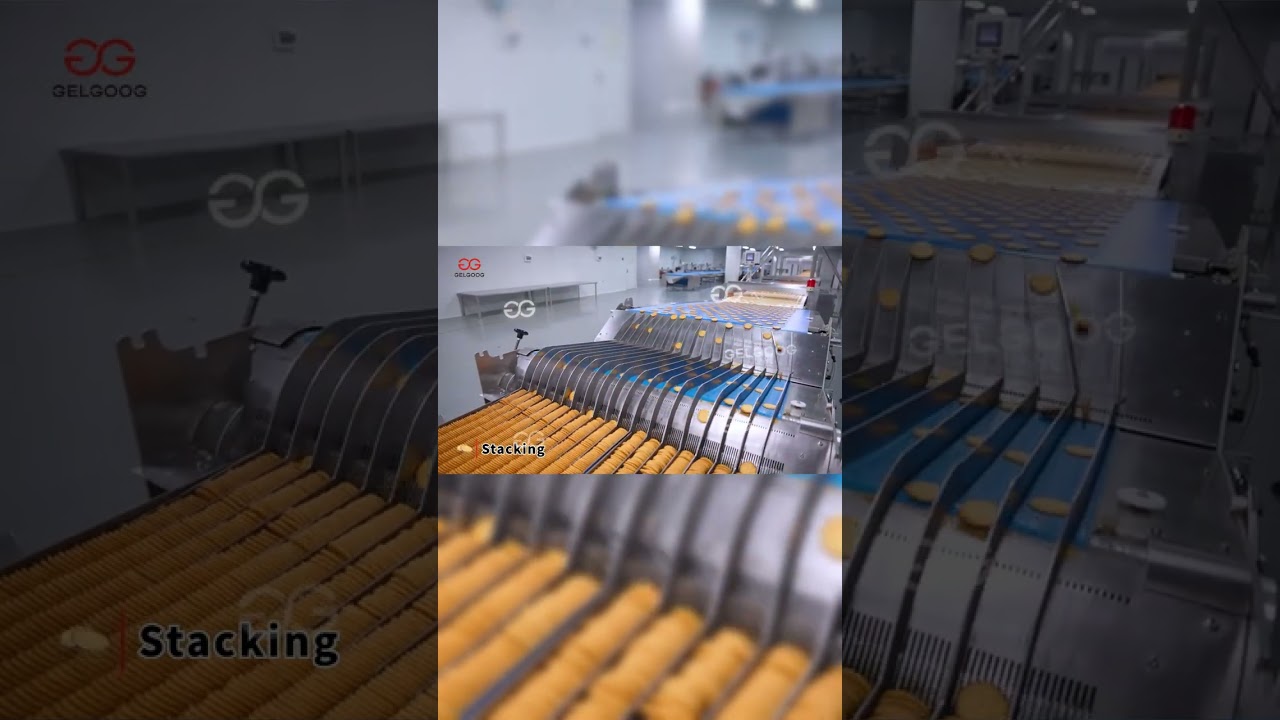 1200kg/h Sandwich Biscuit Production Line Manufacturer