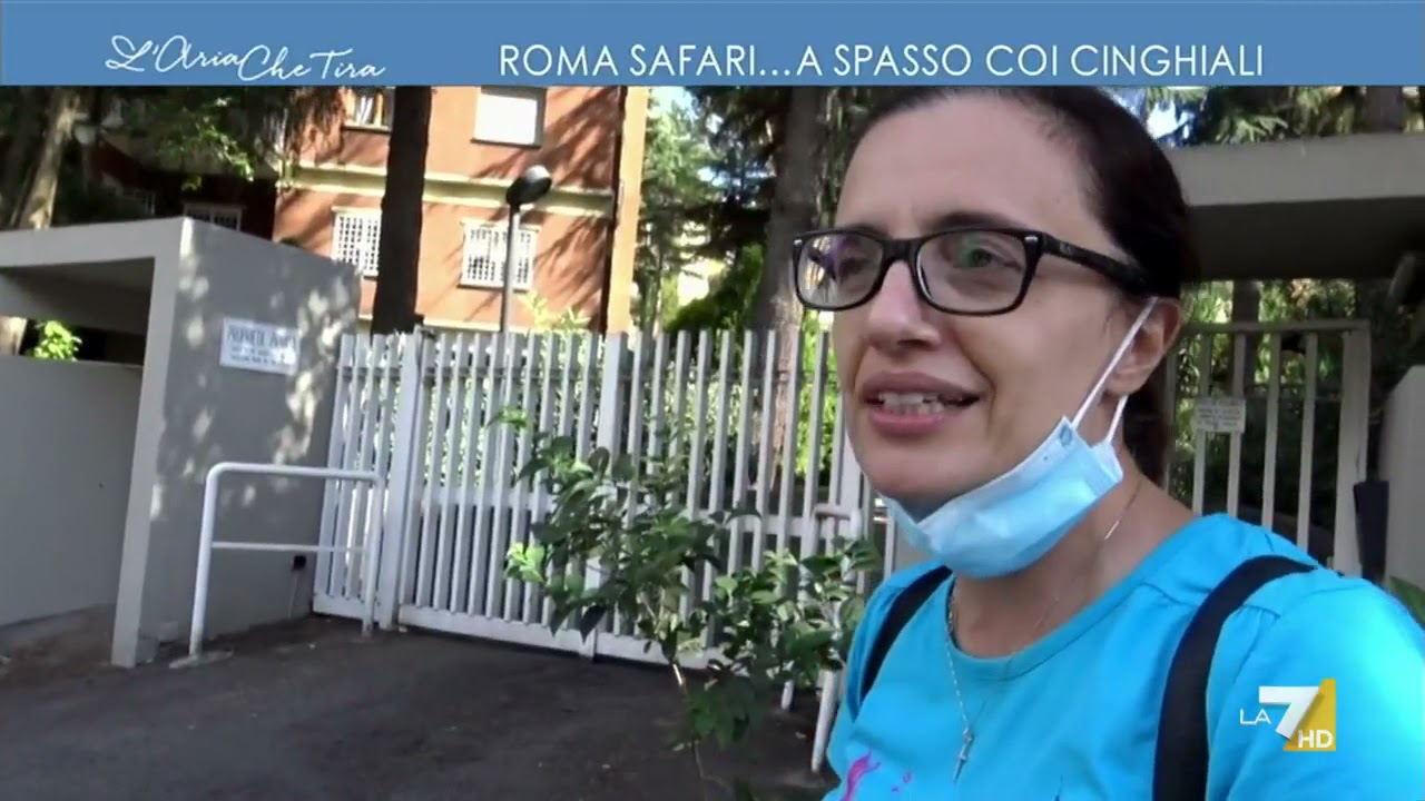 Roma Safari... a spasso coi cinghiali