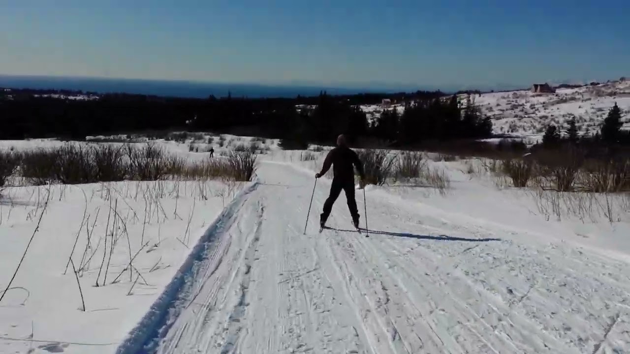 Cross Country Skiing the Homestead Trail- Homer, Alaska