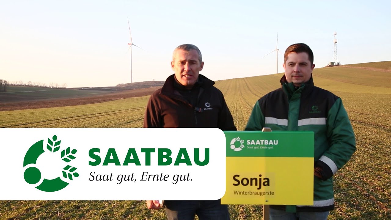 Wintergerste Bestandesführung