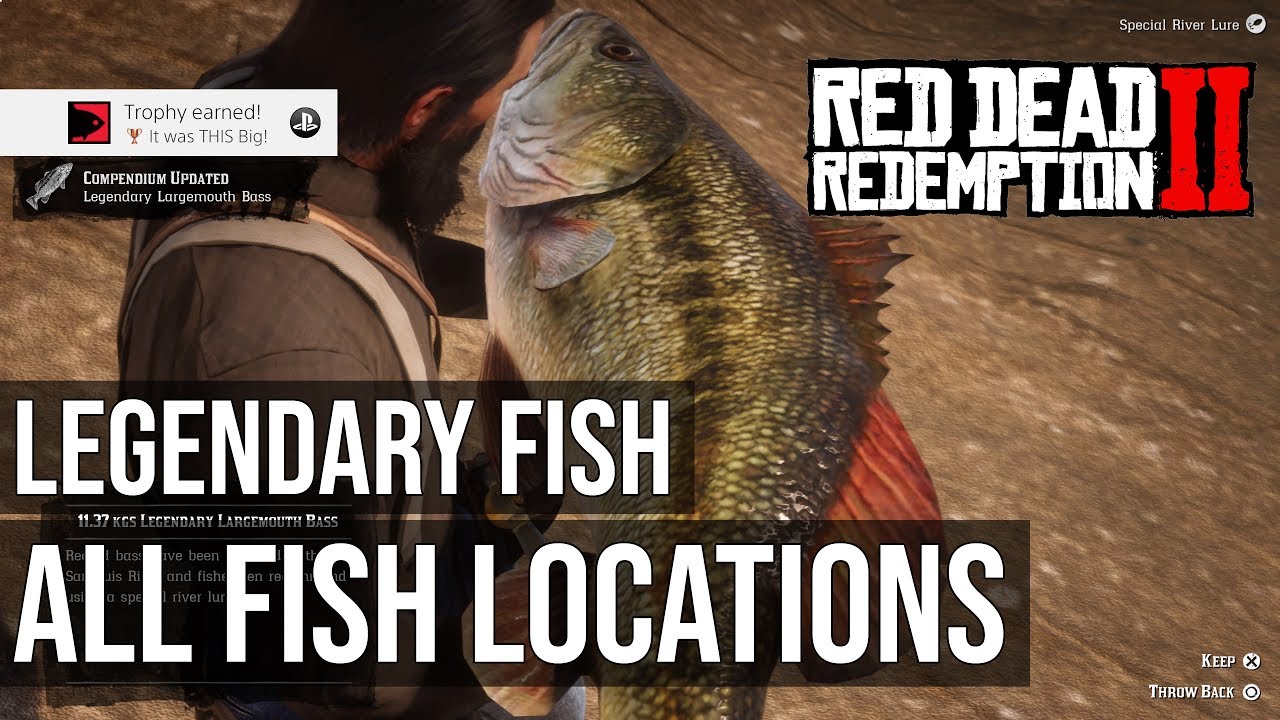 All Legendary Fish Collectible Locations (A Fisher of Fish) - Red Dead Redemption 2