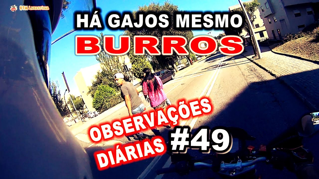 Observações Diárias #49 Há gajos mesmo BURROS! Daily Observations 49 - KTM Laranjinha 