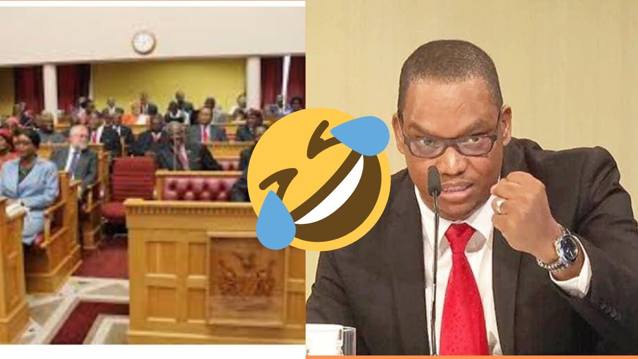 NAMIBIAN PARLIAMENT GETTING HEATED:MUST WATCH