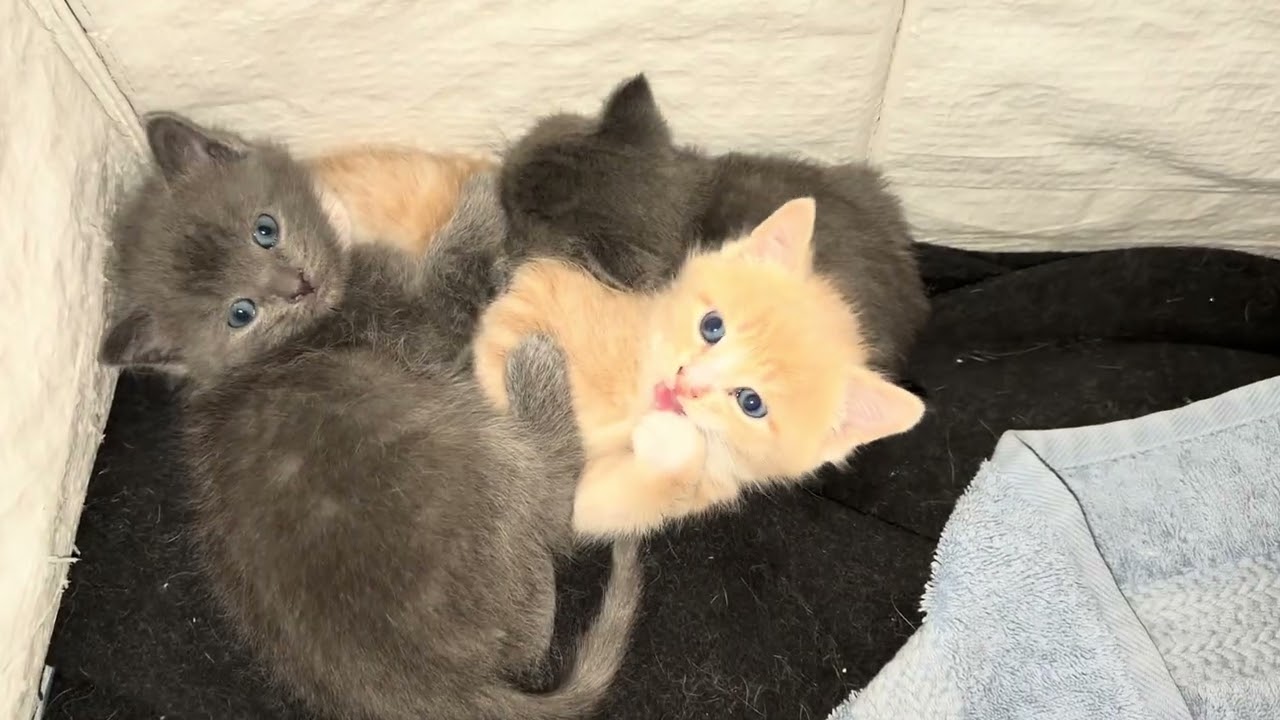 Adjusting to grow up 