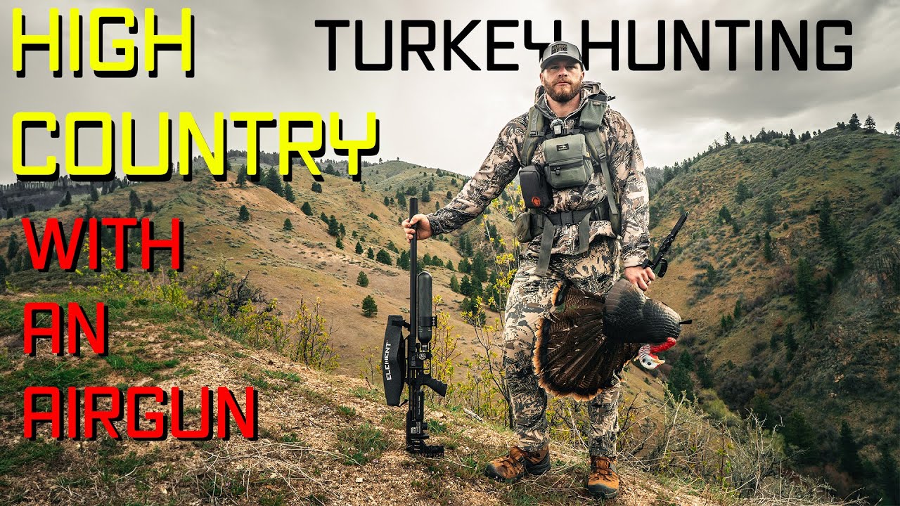 Turkey Hunting in High Country With An Airgun [Hunt365]