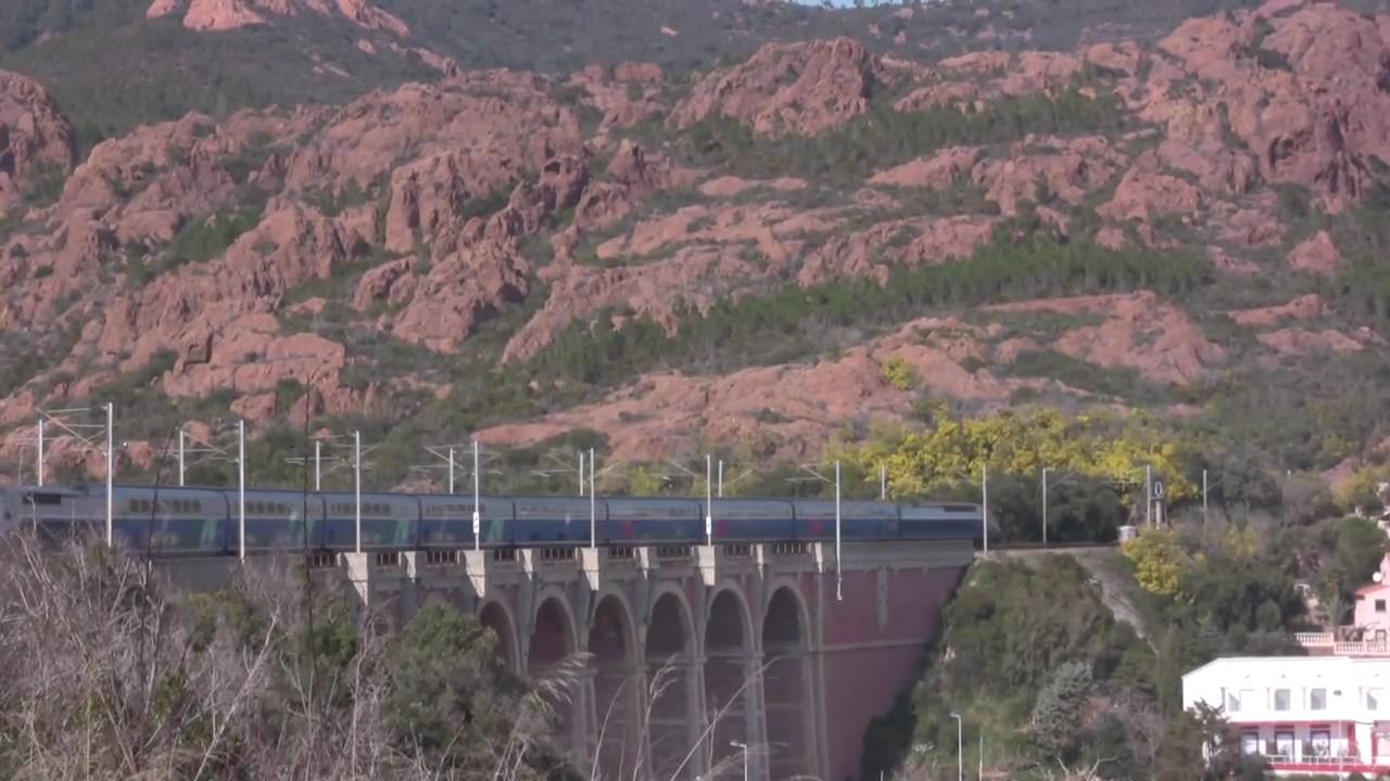 38. TGV DANS LE SUD ... VII