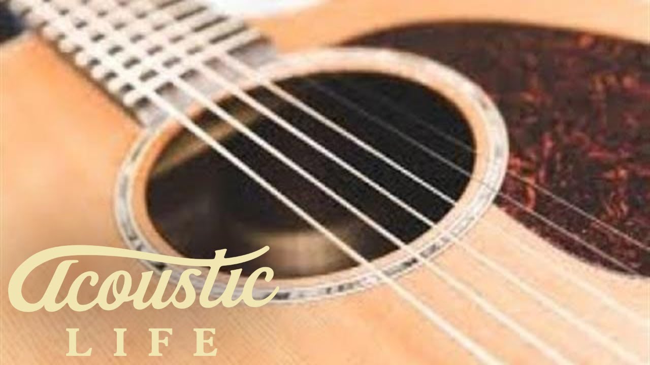 Ernie Ball Aluminum Bronze Strings Review