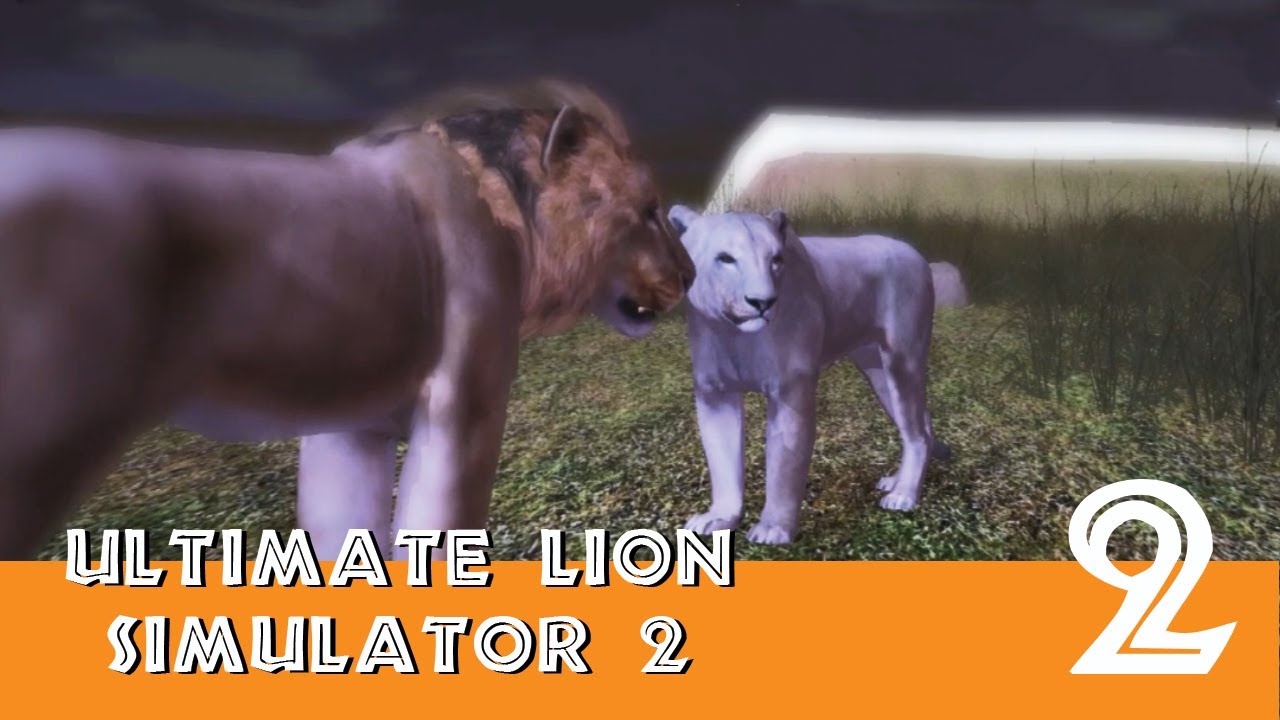 Finding A Mate - Ultimate Lion Simulator 2 | Ep 2