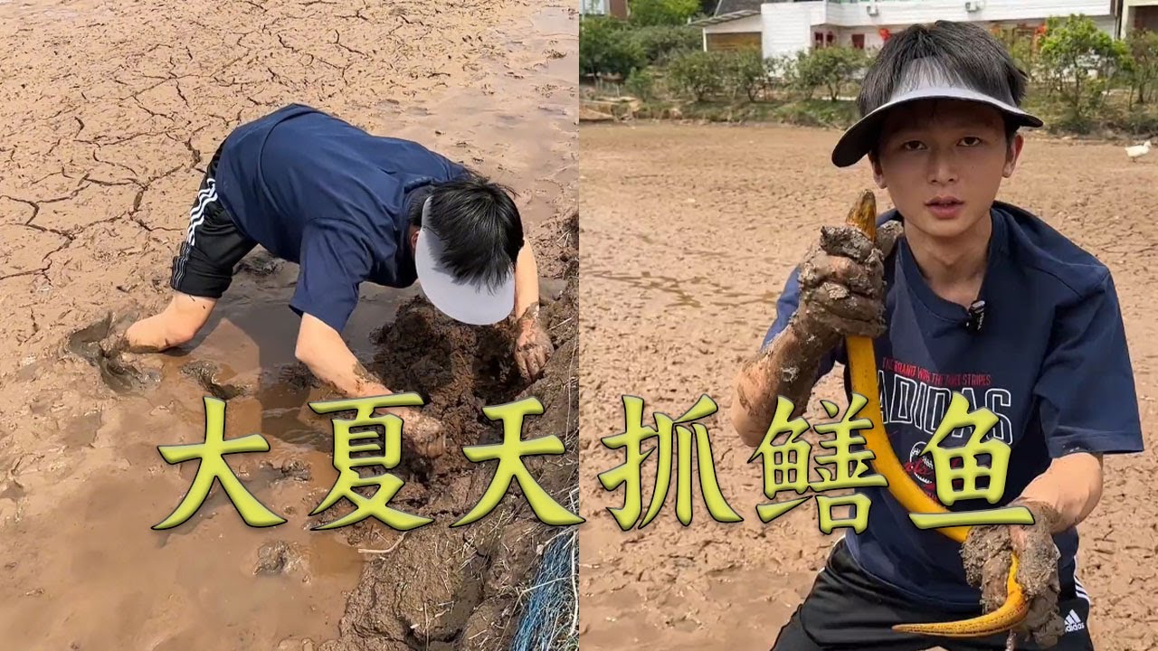 今天啊有壹位老板要收購我們的鳝魚，我們抓多少他就要多少#搞笑 #农村生活 #fishing #熱門 #food #snake