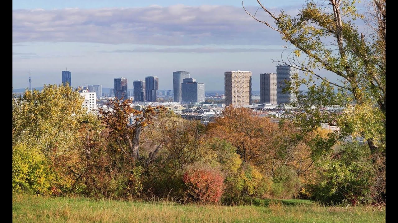 Traseul urban nr 7, Viena