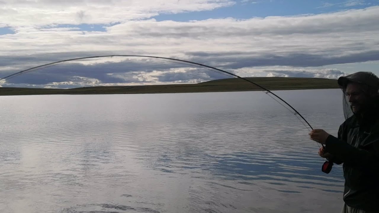 Finnmarksvidda 2021!