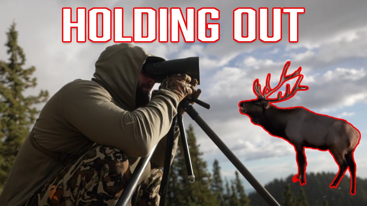 BACKCOUNTRY ELK HUNT (Horse Drop Camp)