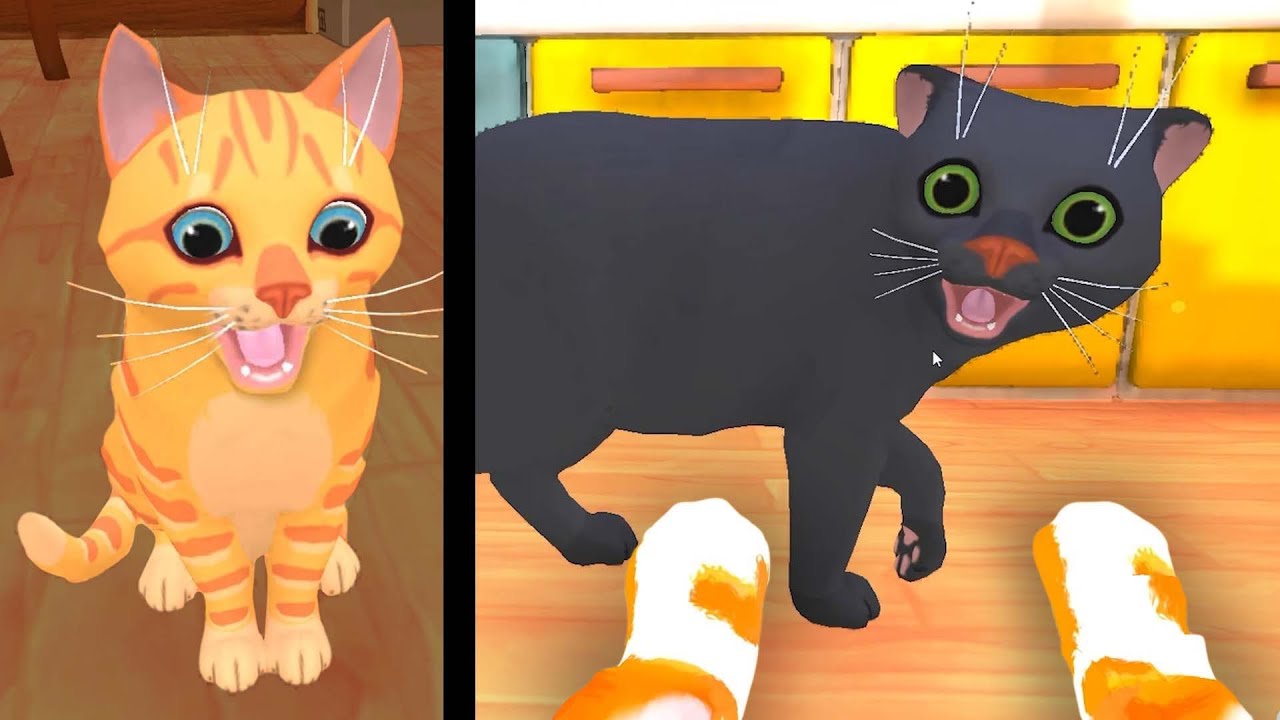 La Abuela tiene UN NUEVO GATO!!! @TTCCELLAA