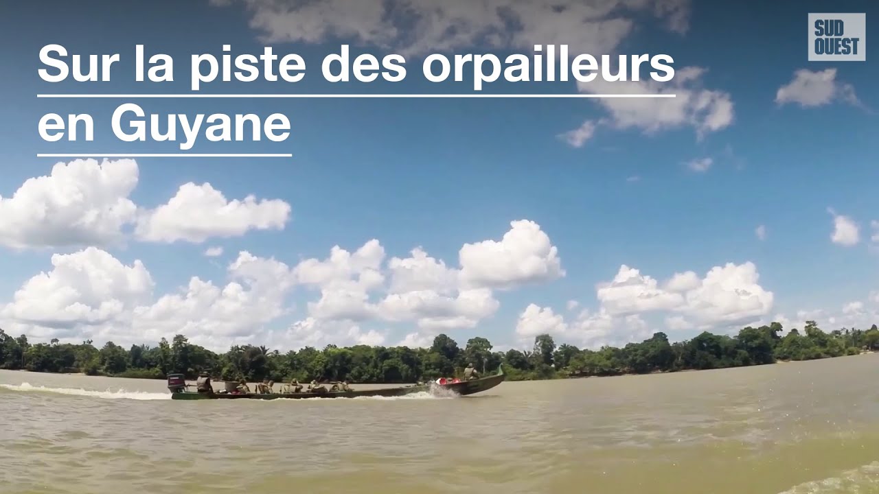 Sur la piste des orpailleurs en Guyane