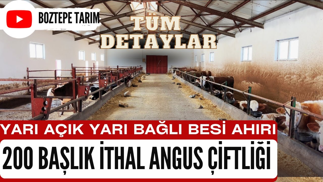 YARI AÇIK YARI BAĞLI BESİ AHIRI UZUN KULLANIM DENEYİMLERİM