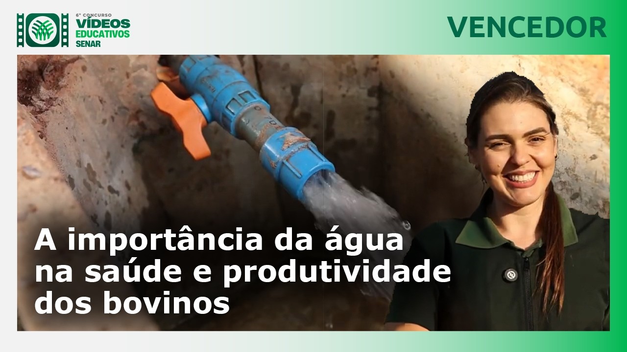 A importância da água na saúde e produtividade dos bovinos