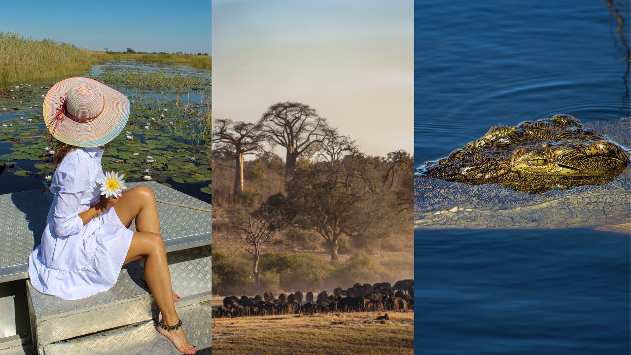 The Wild Zambezi Region