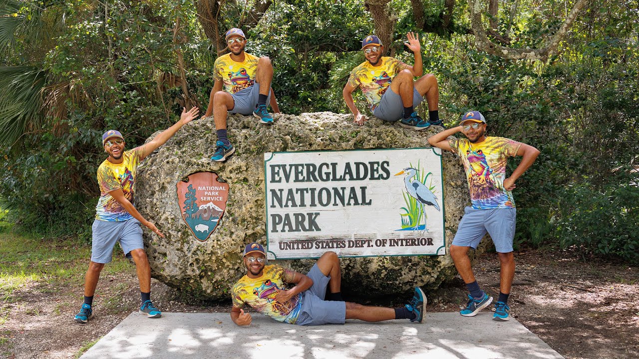 To Everglades National Park Day Trip | Miami Art District | 4K Wildlife & Adventure